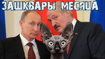 Лукашенко избил Путина и другие зашквары месяца