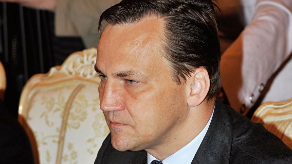 Экс-глава МИД Польши раскритиковал Германию за отношение к России