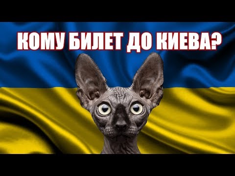 Мы хотим как вна Украине! Кот Костян