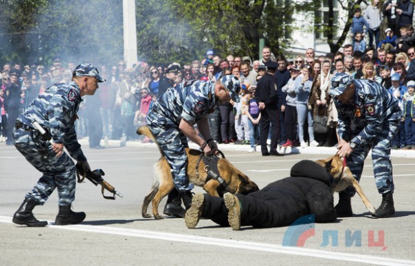 Подразделения МВД провели показательные выступления в годовщину вручения Боевого Знамени