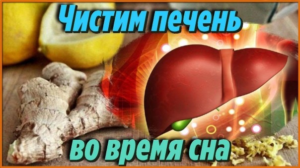Напитки, которые эффективно очищают печень, улучшают пищеварение и сжигают жиры во время сна