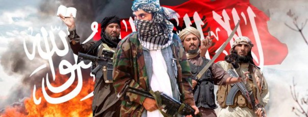 В Германии заговорили об отмене решения о признании Косово