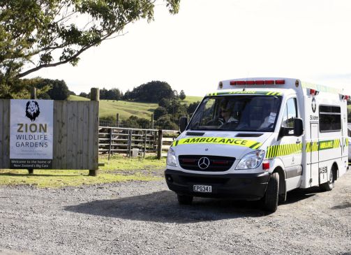 Два легкомоторных самолёта столкнулись в воздухе в Новой Зеландии