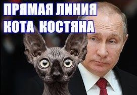 Первая прямая линия кота Костяна.