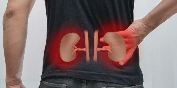 Мочекаменная болезнь: риски и причины развития