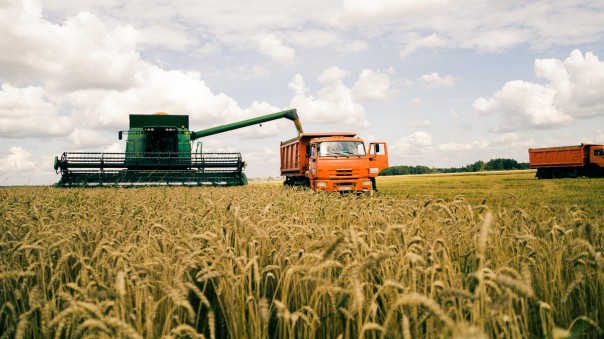 России угрожает рекордный урожай