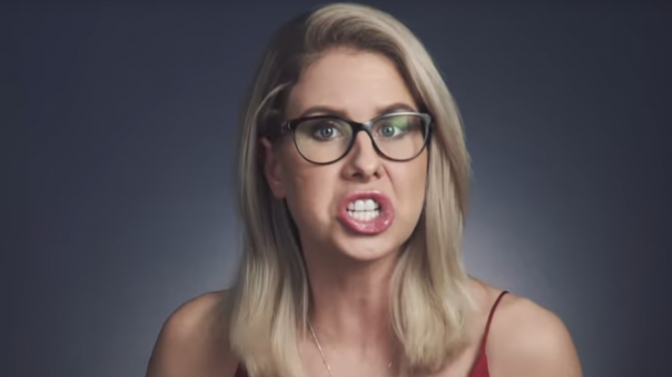 Особенности представления цеховой солидарности шакалов пера