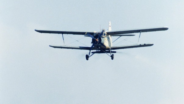 В Казахстане разбился АН-2, пилот погиб