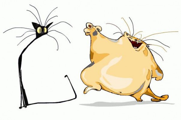 Украина смертельно похудела