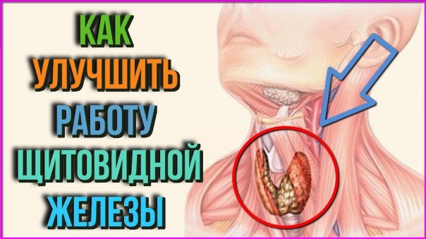 Правильное питание, чтобы улучшить работу щитовидной железы. Топ продуктов для щитовидки