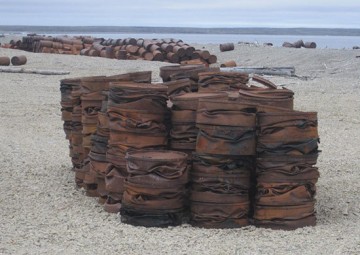 Военные экологи на борьбе с мусором в Арктике