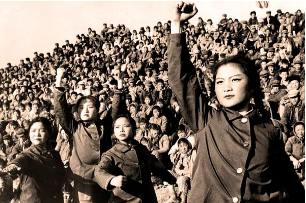 О крысах и тиграх или Обезумевшая школота