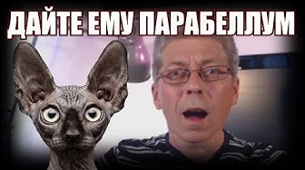 Саша, вот твоя палата! Кот Костян