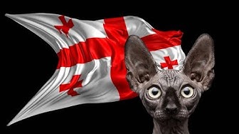 Ещё один бессмертный генацвале