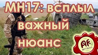 Катастрофа MH17: всплыл важный нюанс о трагедии