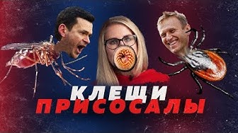 Навальный хочет крови и сосёт деньги. Скандалы вокруг выборов