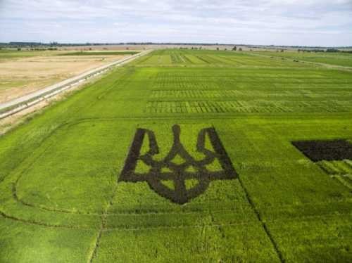 Кому действительно нужен рынок земли на Украине