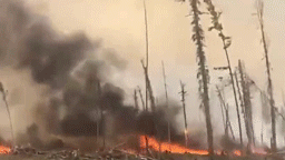 Площадь лесных пожаров в Сибири уже превысила 1,6 млн гектаров