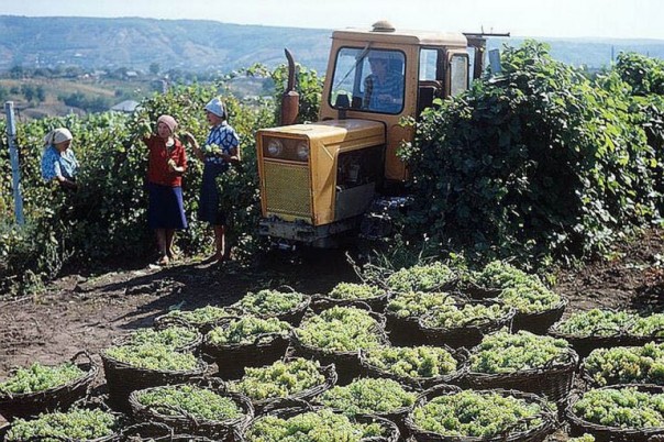 Цена независимости бывших республик СССР