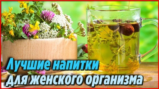 Лучшие чаи для женского организма, которые помогут вернуть хорошее настроение и самочувствие