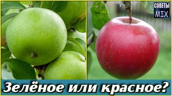 Как правильно выбрать продукты питания полезные для здоровья