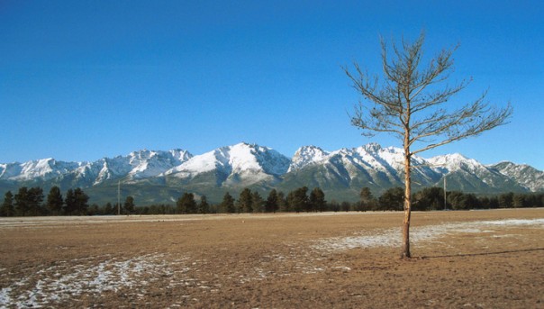 "Дальневосточный гектар" можно будет взять в Бурятии и Забайкалье