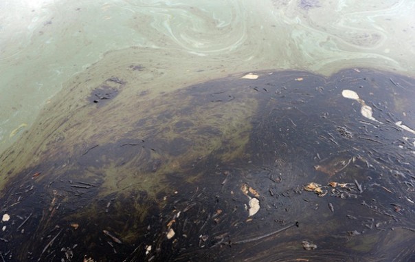 Криворукие американцы снова вылили тысячи галлонов нефти в океан. Где же Гринпис?