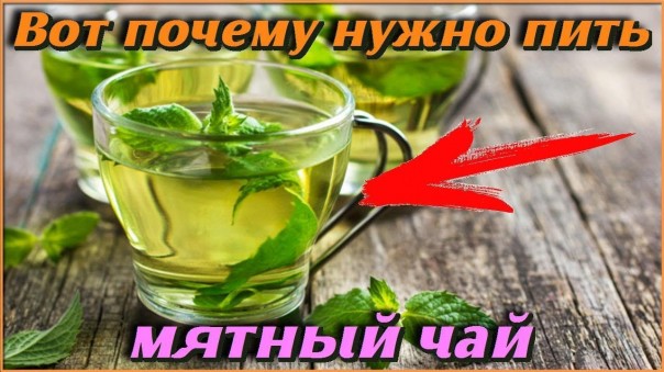 Вот почему нужно пить мятный чай. Самые полезные советы для здоровья и долголетия
