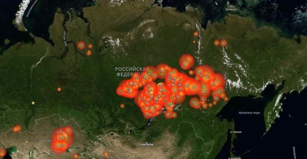«Горящая Сибирь» — о кликбейте и суровой реальности