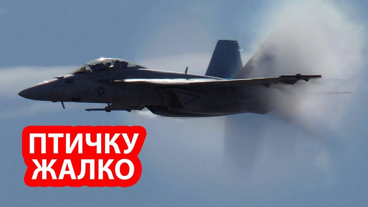 Истребитель США был сбит птицей над Китайским озером