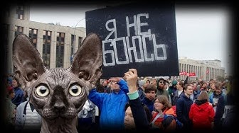 Как погуляли??? Кот Костян