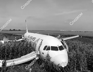 Западные СМИ написали о российском чуде на кукурузном поле