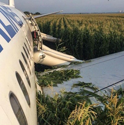 Западные СМИ написали о российском чуде на кукурузном поле