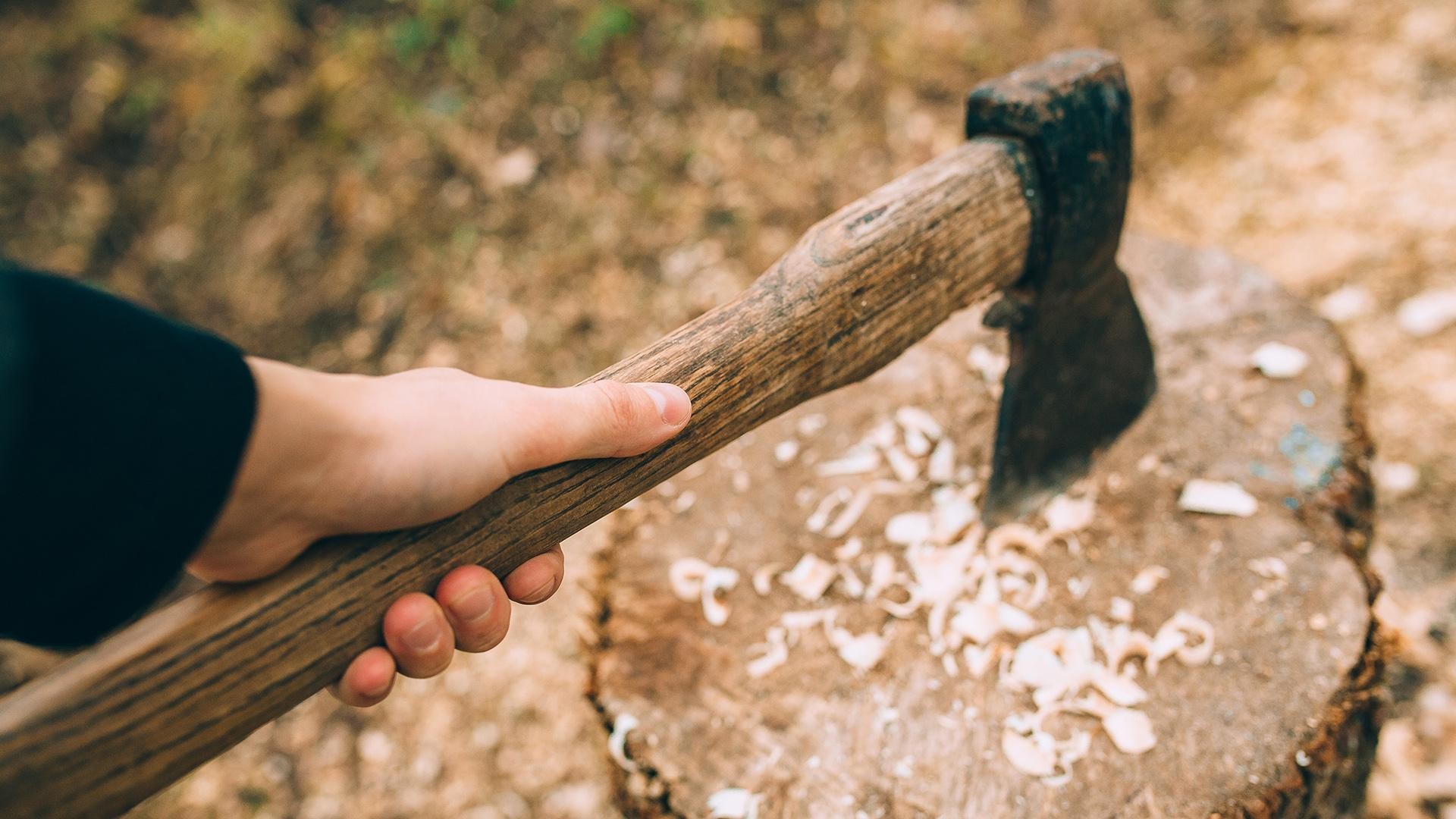 Рубят руки ноги. Рубят руки ноги. Рубят руки ноги. Рубит дерево. Рубят руки ноги.