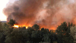 Пожар под Ростовом-на-Дону превратил местный пейзаж в кадры из фильма-катастрофы