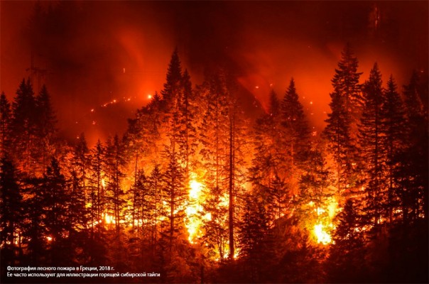 В России горят леса на площади в 43 тысячи гектаров