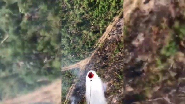 Военные потушили 36 очагов лесных пожаров в Сибири