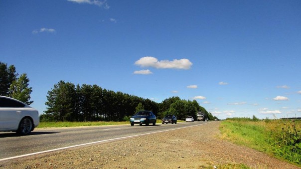 Водитель служебного автомобиля высадил вице-губернатора сибирского региона за хамство
