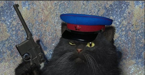 Кот Скрипалей мстит! Эта Англия "все", Королева хочет новую!