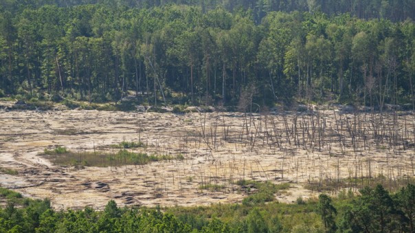 «Киев не контролирует ситуацию»: сможет ли Зеленский остановить нелегальную добычу янтаря на севере Украины
