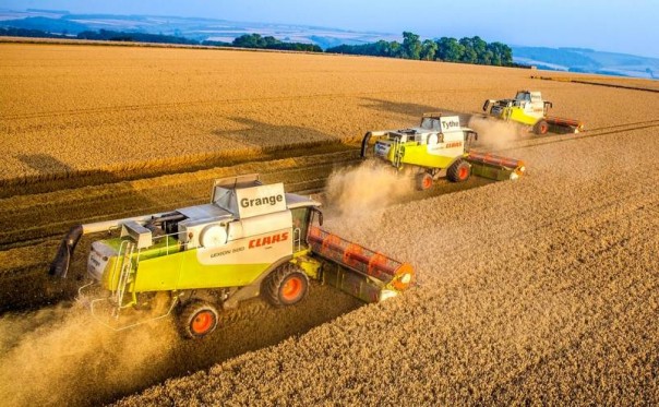 Битва за урожай: Россия продолжает удерживать первое место в мире