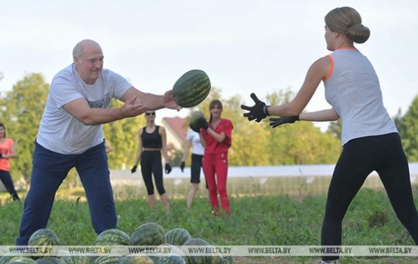 После встречи с Болтоном Лукашенко собирал арбузы с девушками