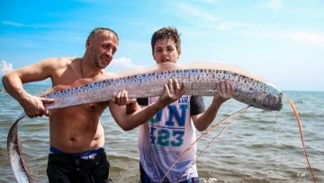 Рыбу-предвестницу цунами и землетрясений выловили рыбаки в Приморье