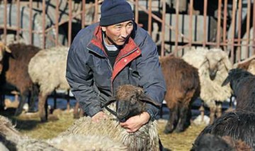 «Укркосмос» и космическая эпопея Украины