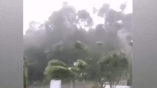 Джорджия и Флорида массово эвакуируются из-за урагана "Дориан"