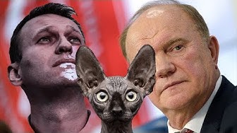 Смешались В Кучу Кони, Люди. Кот Костян