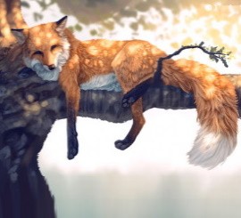 Зачем лисы полезли на деревья? За коалами!