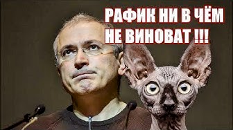 Операция "Лебедь белый, Гусь пушистый". Кот Костян