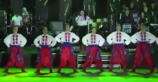 Шаровары люфтваффе