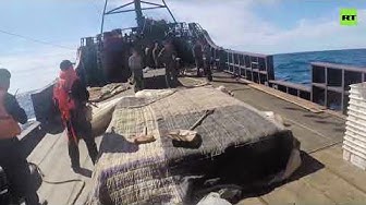 Видео: российские пограничники задержали более 160 браконьера из Северной Кореи